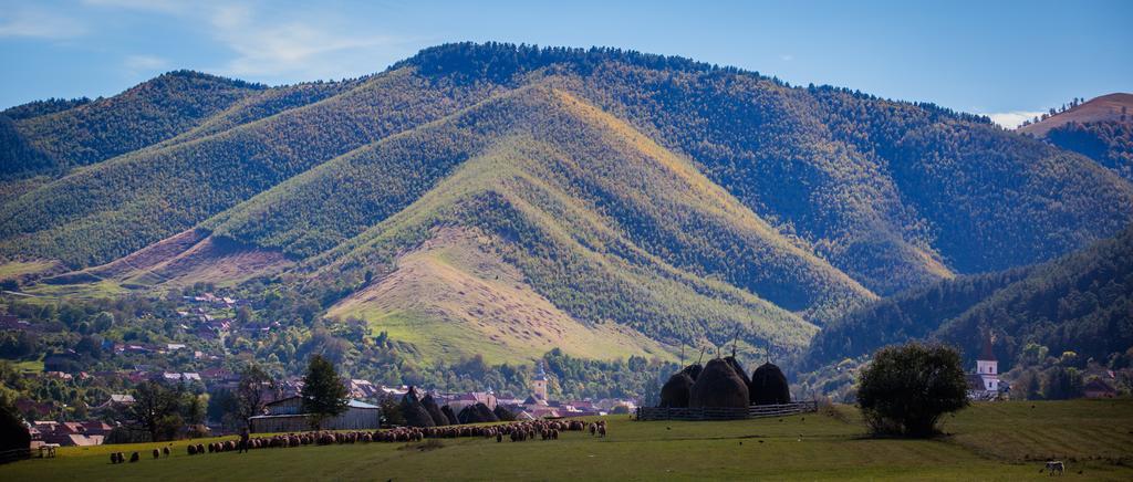 Picturesque Village In Transylvania Răşinari Værelse billede