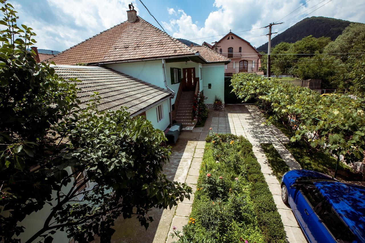 Picturesque Village In Transylvania Răşinari Eksteriør billede